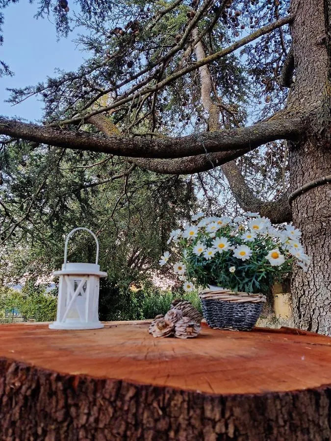 Relais Felciaino B&B Bolgheri 0*,  Italia