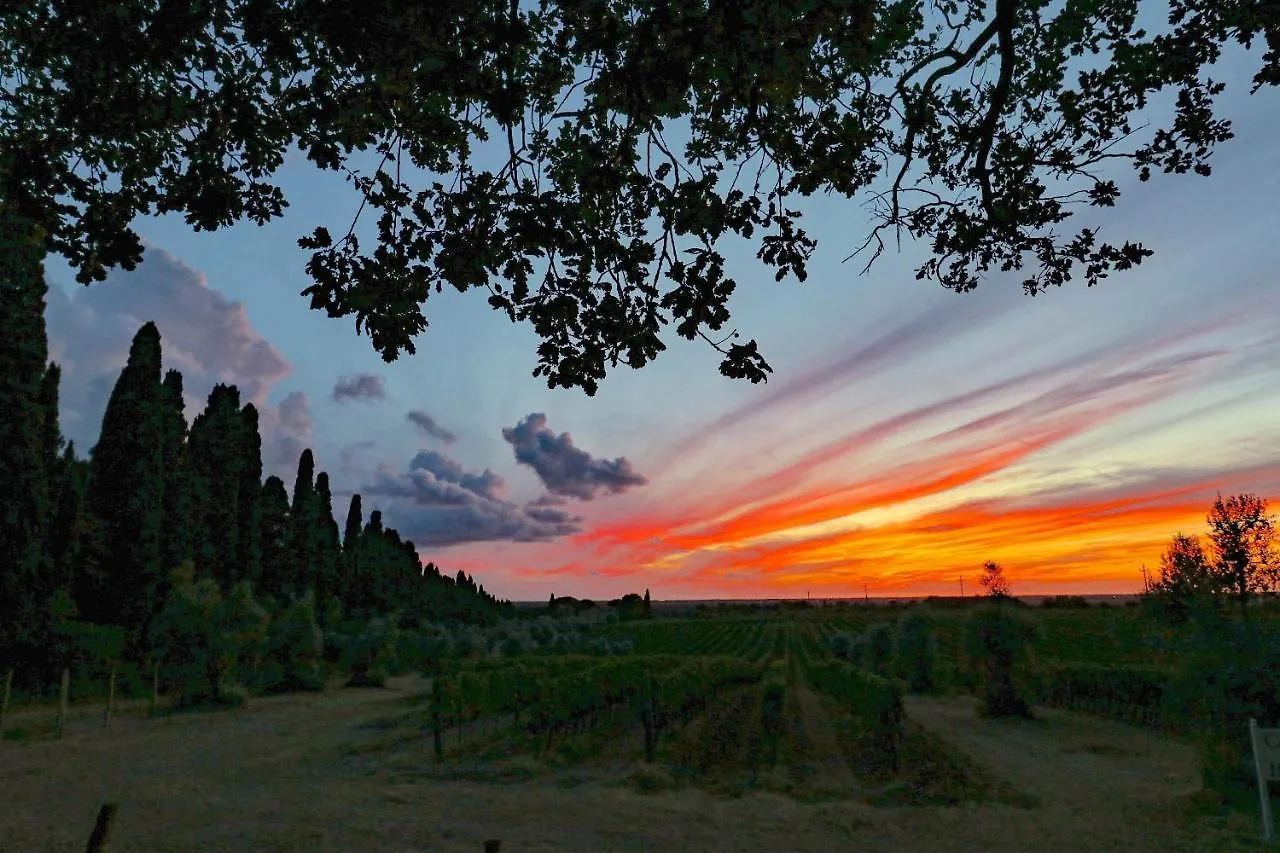 Relais Felciaino B&B Bolgheri Bed & Breakfast